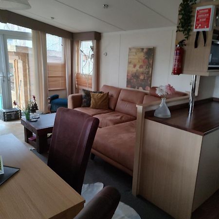Vledder Chalet Met Veranda Aan Bosrand מראה חיצוני תמונה