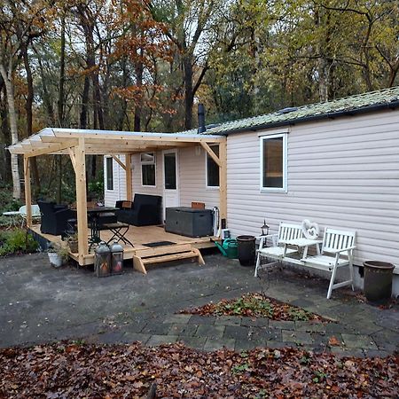 Vledder Chalet Met Veranda Aan Bosrand מראה חיצוני תמונה