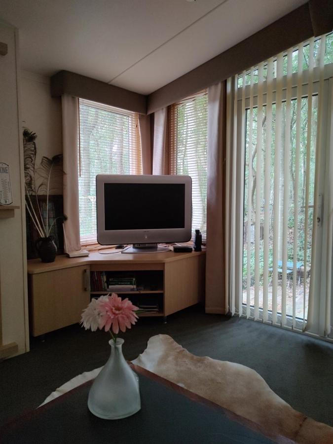 Vledder Chalet Met Veranda Aan Bosrand מראה חיצוני תמונה