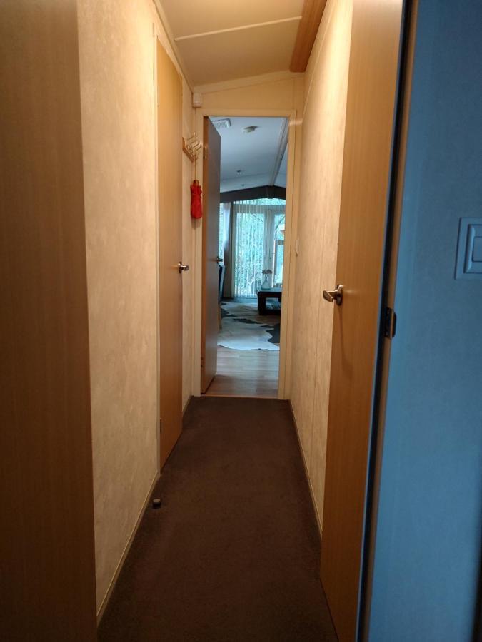 Vledder Chalet Met Veranda Aan Bosrand מראה חיצוני תמונה