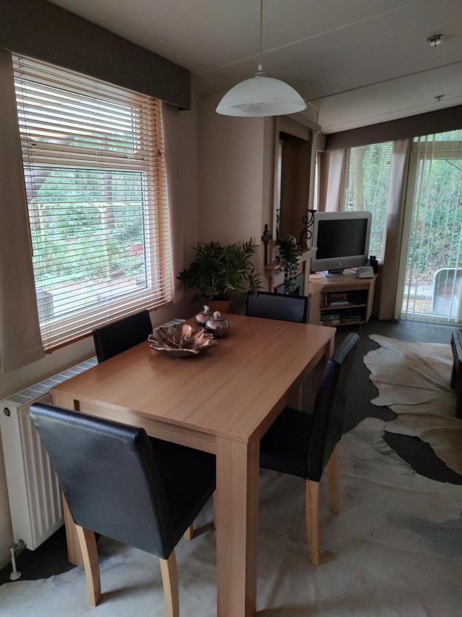 Vledder Chalet Met Veranda Aan Bosrand מראה חיצוני תמונה