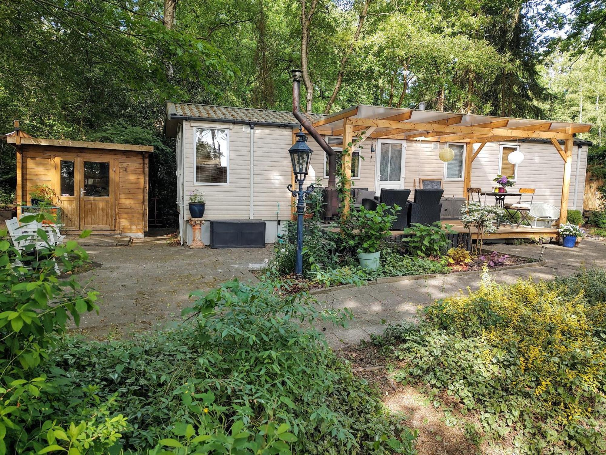 Vledder Chalet Met Veranda Aan Bosrand מראה חיצוני תמונה