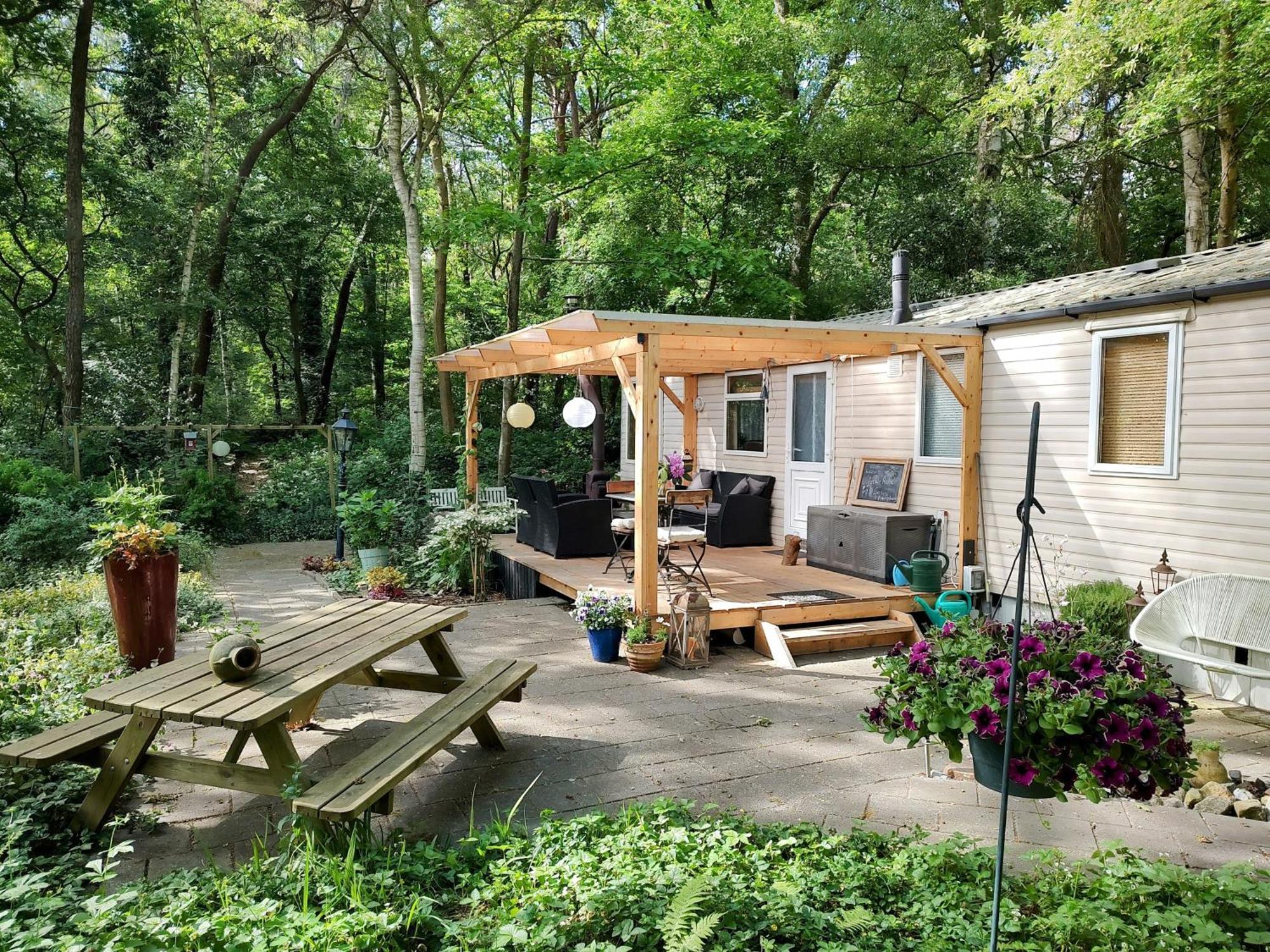 Vledder Chalet Met Veranda Aan Bosrand מראה חיצוני תמונה