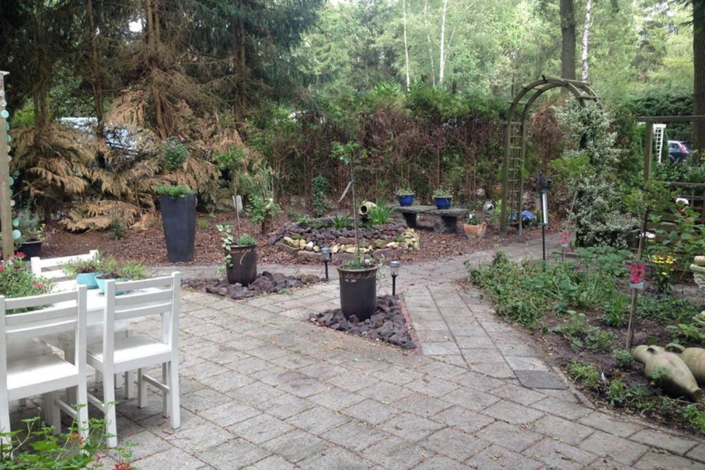 Vledder Chalet Met Veranda Aan Bosrand מראה חיצוני תמונה